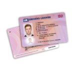 Pink Novelty Drivers License