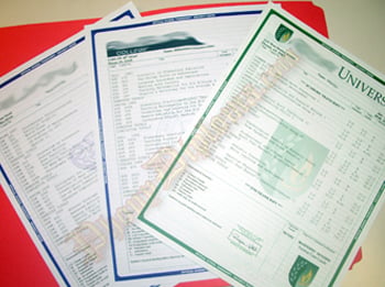 UK document services